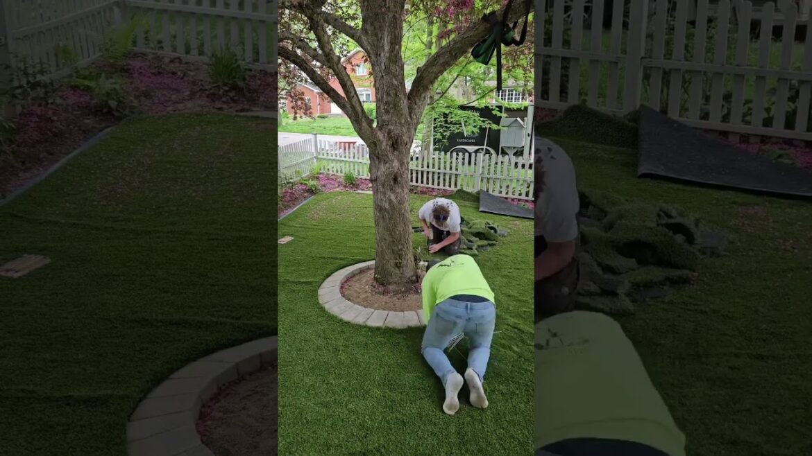 A New Garden And Ground For The Family Have Been Completed #YardCleanUp #LawnCare #GardenCleanup A New Garden And Ground For The Family Have Been Completed #YardCleanUp #LawnCare #GardenCleanup