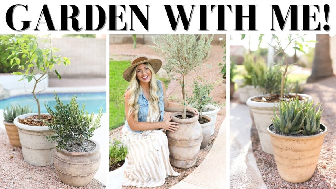 A DAY IN THE GARDEN || PLANT SHOPPING || CREATING A RUSTIC CONTAINER GARDEN || GARDEN VLOG A DAY IN THE GARDEN || PLANT SHOPPING || CREATING A RUSTIC CONTAINER GARDEN || GARDEN VLOG