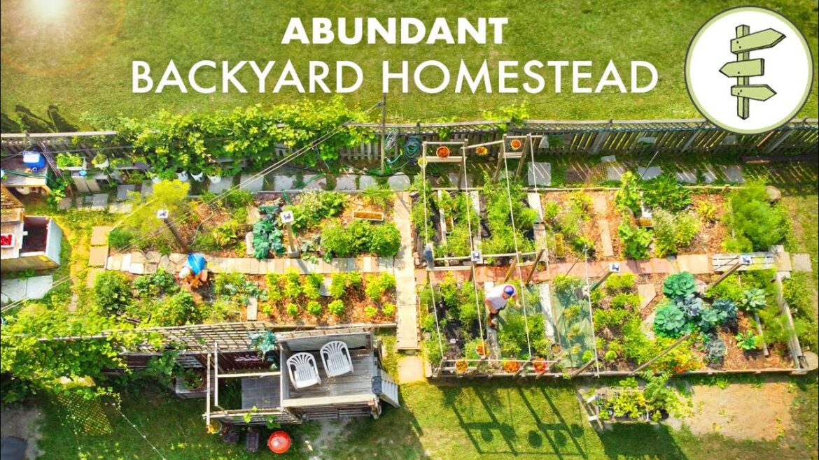 Couple’s Amazing Backyard Homestead Produces TONS of Food in the City + FULL GARDEN TOUR Couple's Amazing Backyard Homestead Produces TONS of Food in the City + FULL GARDEN TOUR