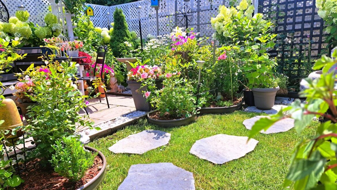 Relaxing Tiny Backyard Garden Tour In Zone 5A Plants and Flowers #garden #gardening #flowers #new Relaxing Tiny Backyard Garden Tour In Zone 5A Plants and Flowers #garden #gardening #flowers #new