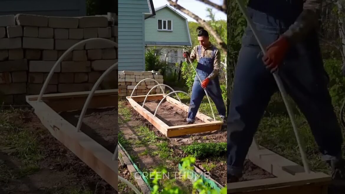 🪴 Grow plants year-round with a DIY greenhouse 🌦️ #shorts #gardening #planting #diy