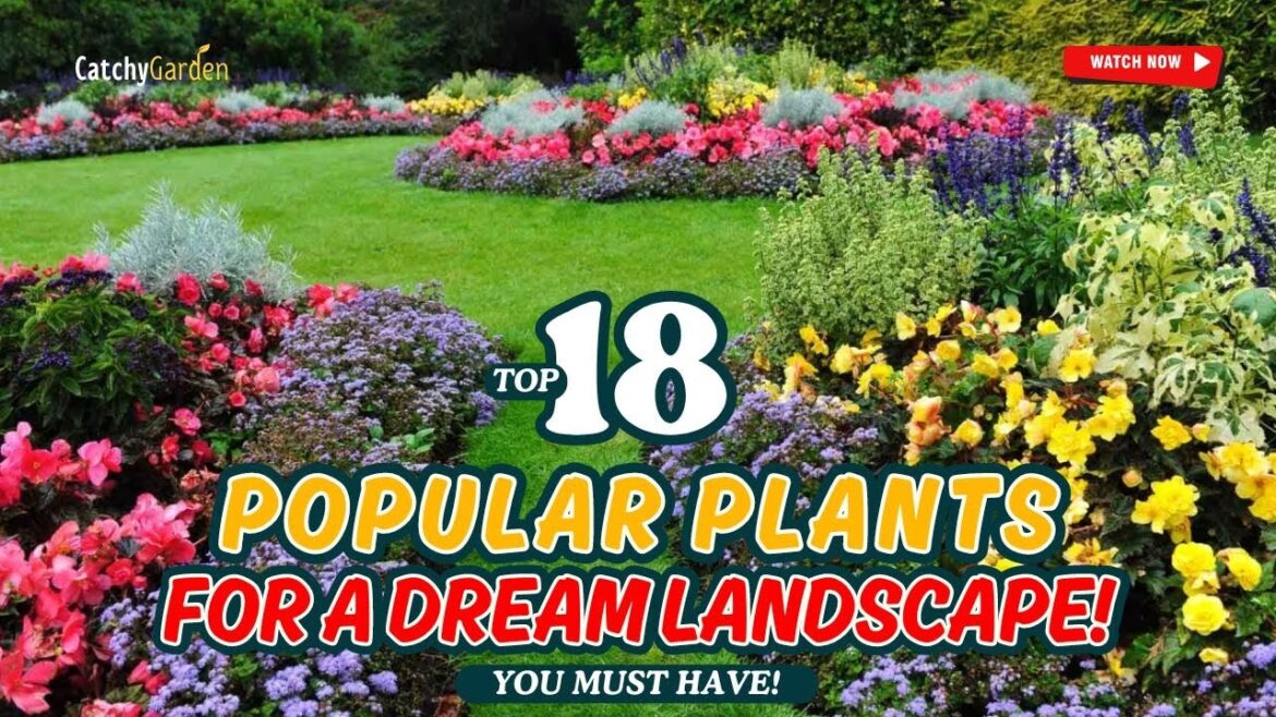πΌ TOP 18 POPULAR Plants for a DREAM LANDSCAPE! πΏ MUST-SEE Picks! πΌ TOP 18 POPULAR Plants for a DREAM LANDSCAPE! πΏ MUST-SEE Picks!