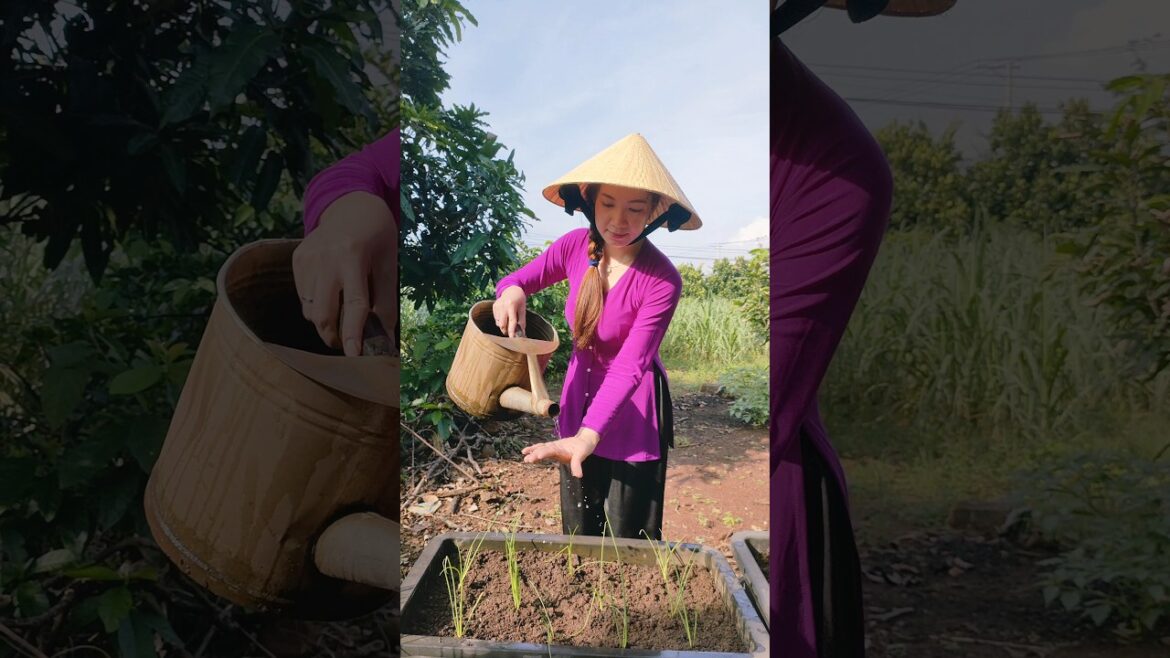 Gardening for energy: Vlog Village Life #farming #freshvegetables #countrylife Gardening for energy: Vlog Village Life #farming #freshvegetables #countrylife