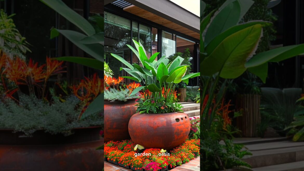 Front Yard Landscape Ideas p.12 #garden #backyardgardendesign #shorts