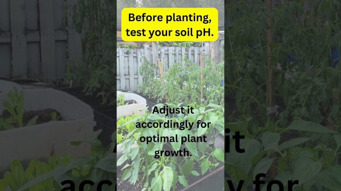 Beginner GArdener Facts and Tips: Before Planting , Test Your Soil pH #garden #gardening #soiltips