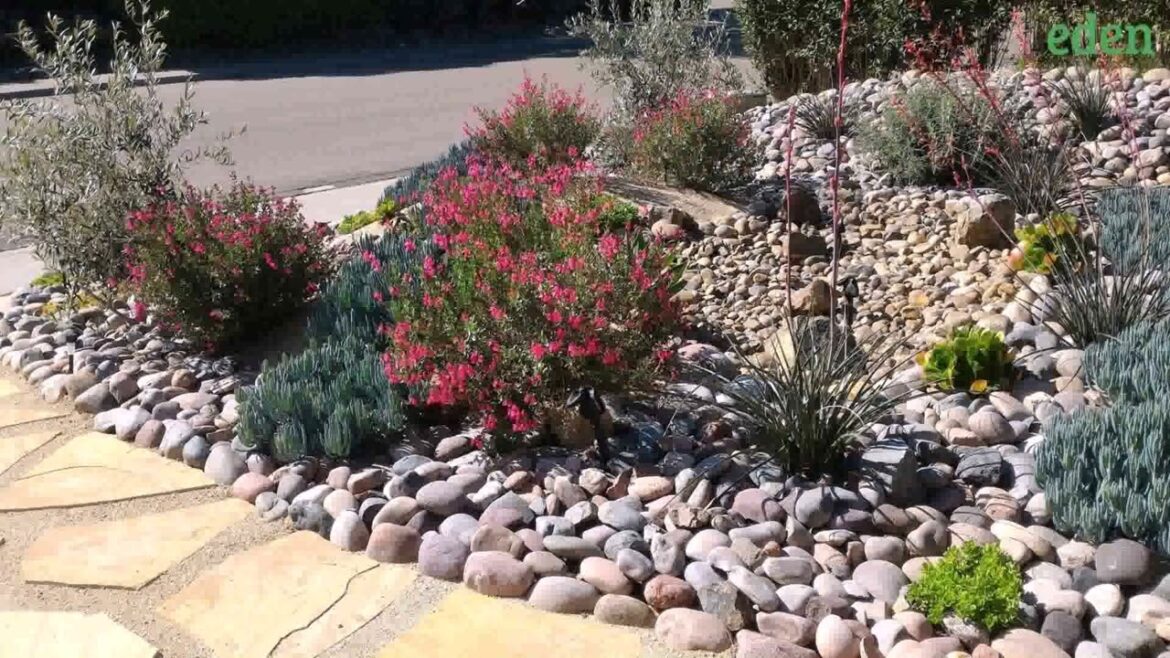 Front Yard Landscaping Ideas With River Rock Front Yard Landscaping Ideas With River Rock