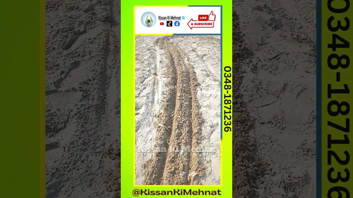 Agriculture Best Tool | Gardening Tool | Excavator Tool | Agriculture Tool | Agri Tool | Garden Tool