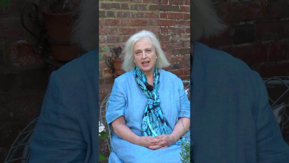 Upcycled garden idea – a trellis from an old sprung sofa… #backyardgarden Upcycled garden idea - a trellis from an old sprung sofa... #backyardgarden