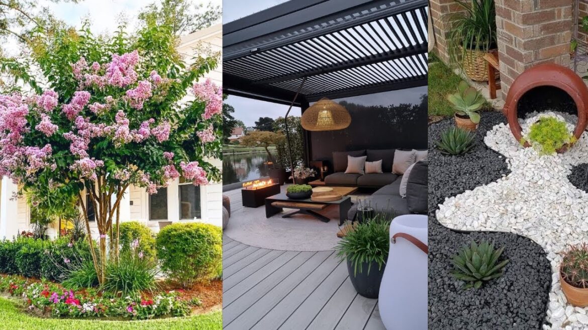 Budget Friendly Front Yard Landscaping Ideas for Decor || Modern Designs for 2024.