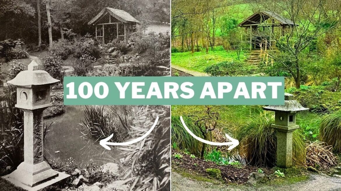 These Japanese Gardens Were LOST For Half A Century!