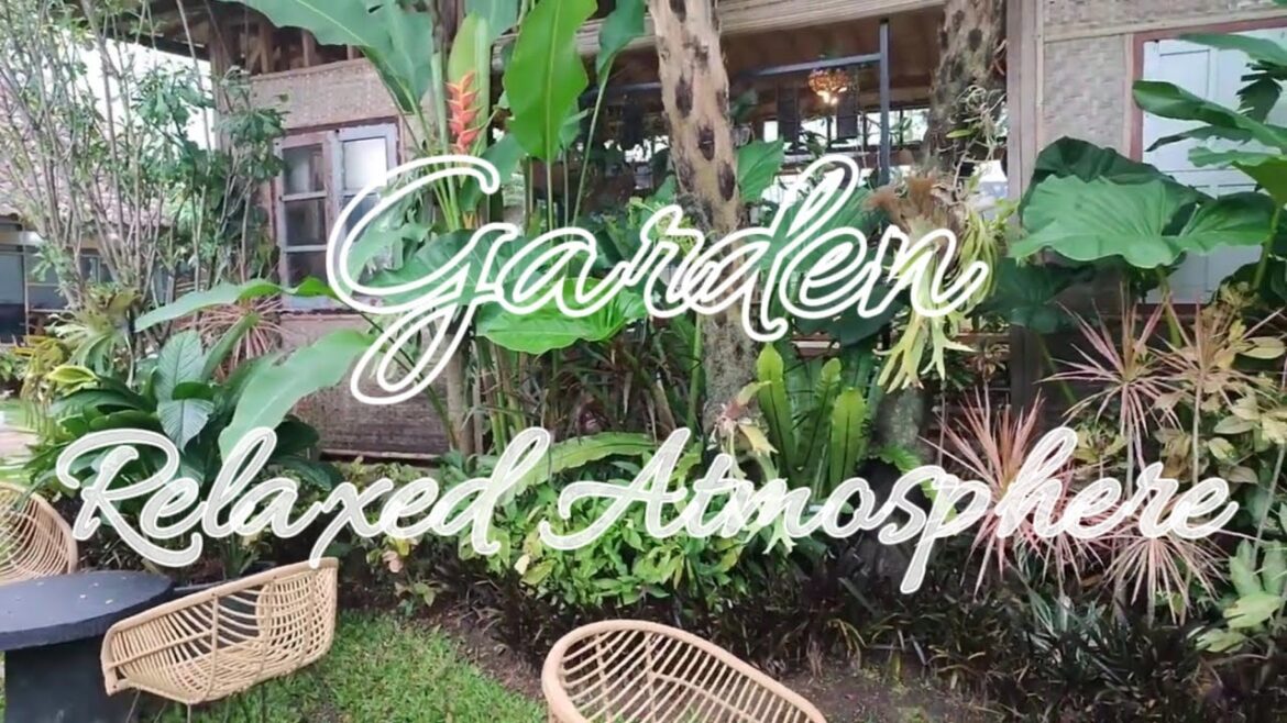 front yard ideas design || aesthetic garden yard home ||