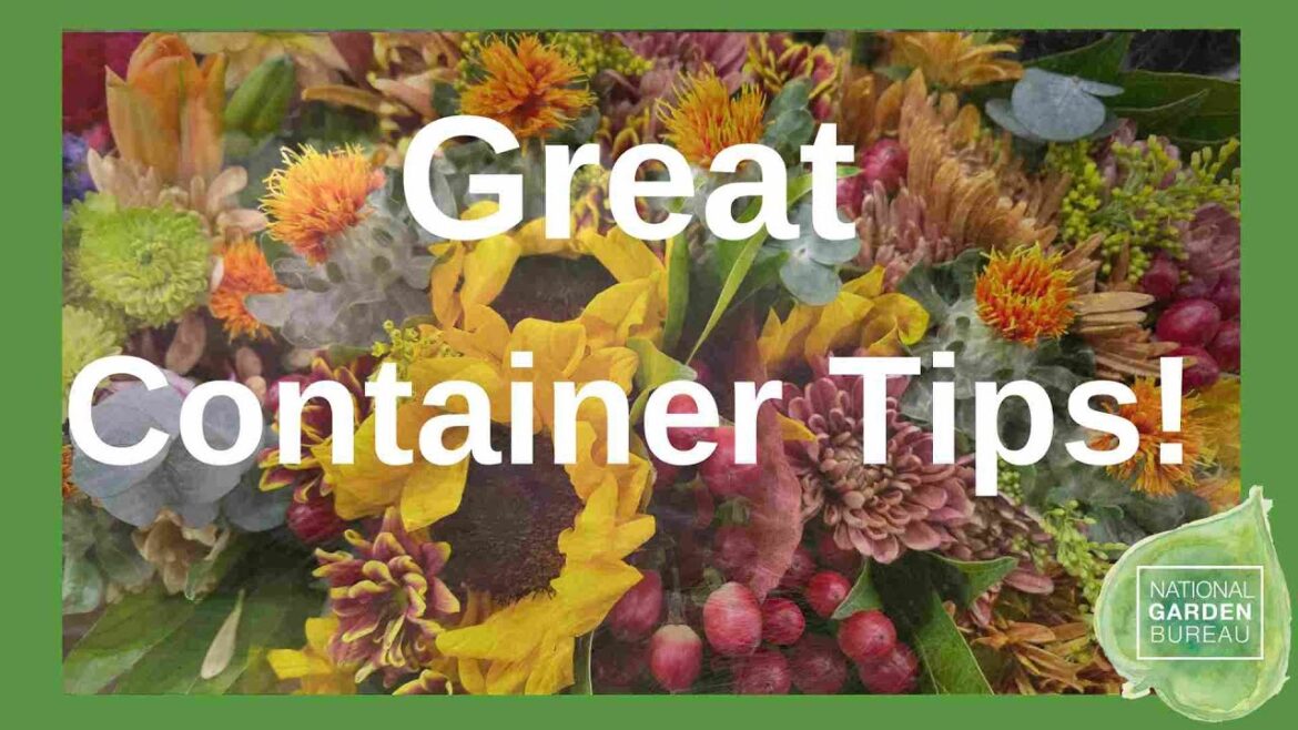 Fall Fantastic: Expert Fall Container Garden Tips with Joan from Ball Seed