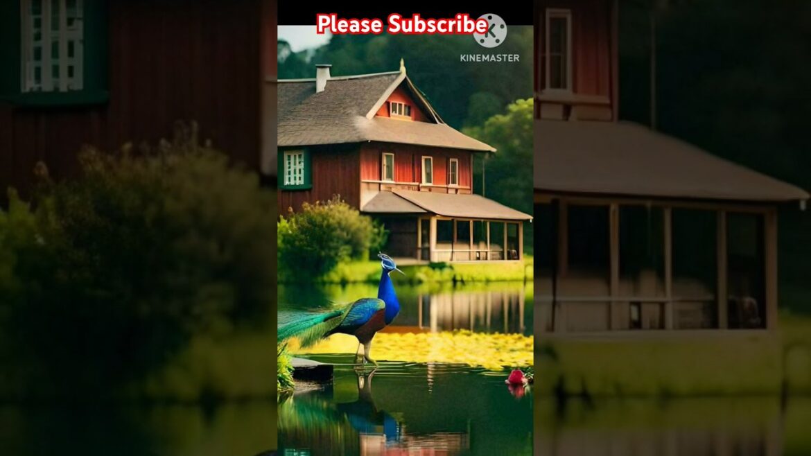 Most Beautiful Home/Beautiful Home Nature Sence #home#nature #homedesigne #garden#shorts #shortsfeed Most Beautiful Home/Beautiful Home Nature Sence #home#nature #homedesigne #garden#shorts #shortsfeed