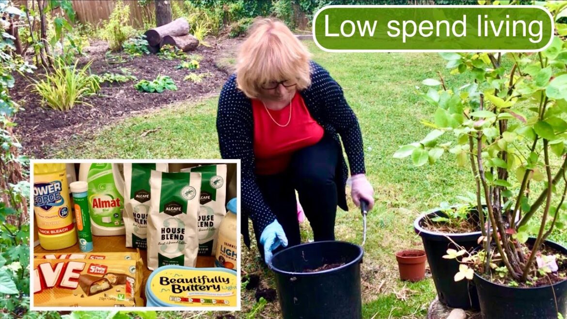 I WENT TO ALDI THIS WEEK ! | CONTAINER GARDENING | LOW SPEND LIVING I WENT TO ALDI THIS WEEK ! | CONTAINER GARDENING | LOW SPEND LIVING