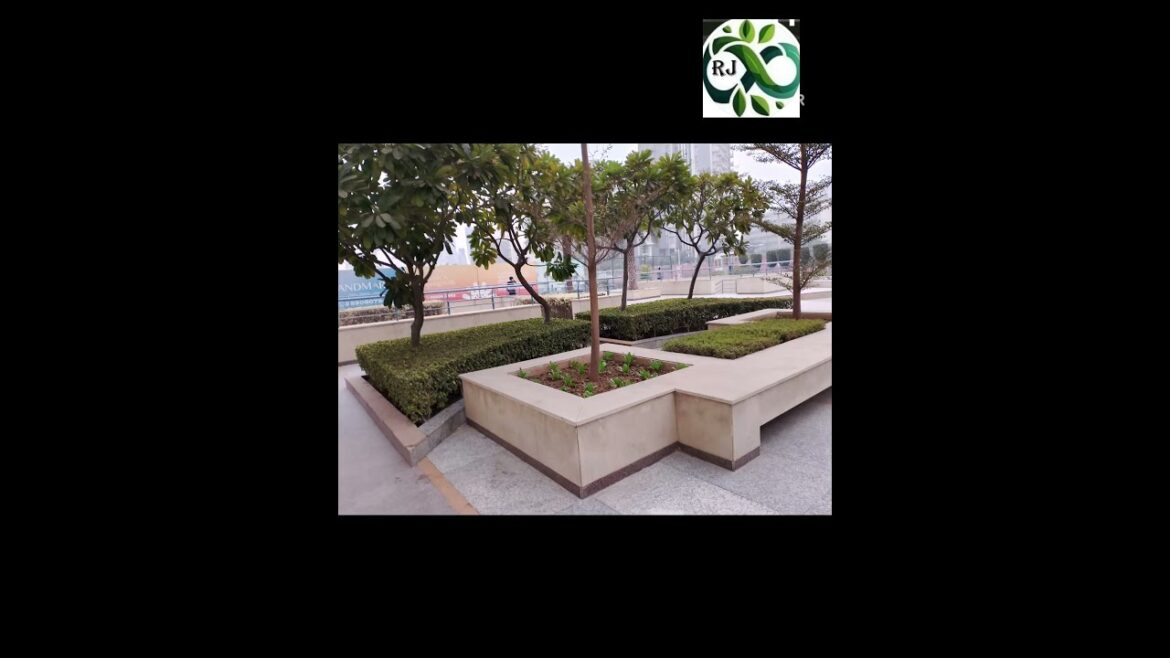 “Best Ground Planting Techniques: Discover New Methods & Latest Trends”#plants #backyardmakeover "Best Ground Planting Techniques: Discover New Methods & Latest Trends"#plants #backyardmakeover