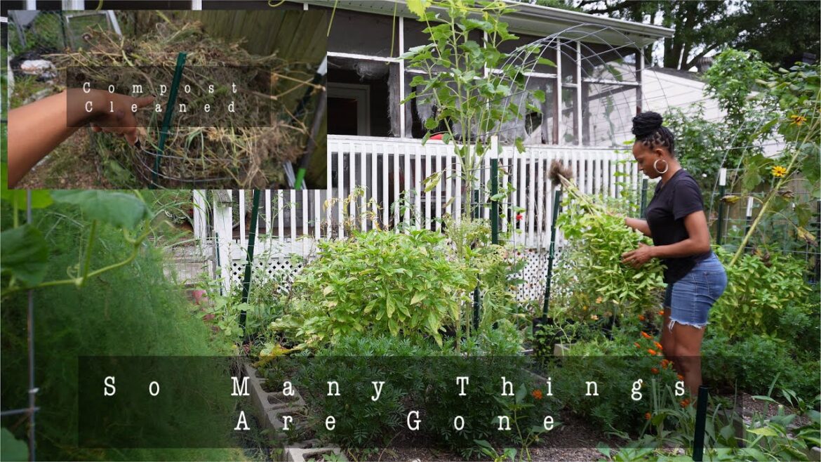 Fall Is Coming | My Anxiety Kicked In (Let’s Talk) | What’s Next For My Homestead Fall Is Coming | My Anxiety Kicked In (Let's Talk) | What's Next For My Homestead