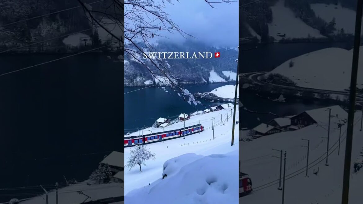 Switzerland Beautiful place in the world #viralshort #reels #naturelovers