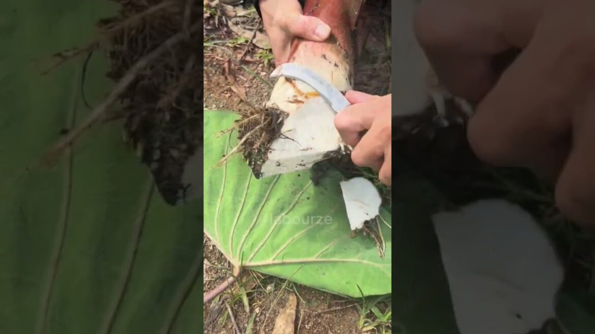 Taro vegetable 😳 तारो सब्जी 😋 #short #shorts #shortfeed #vine