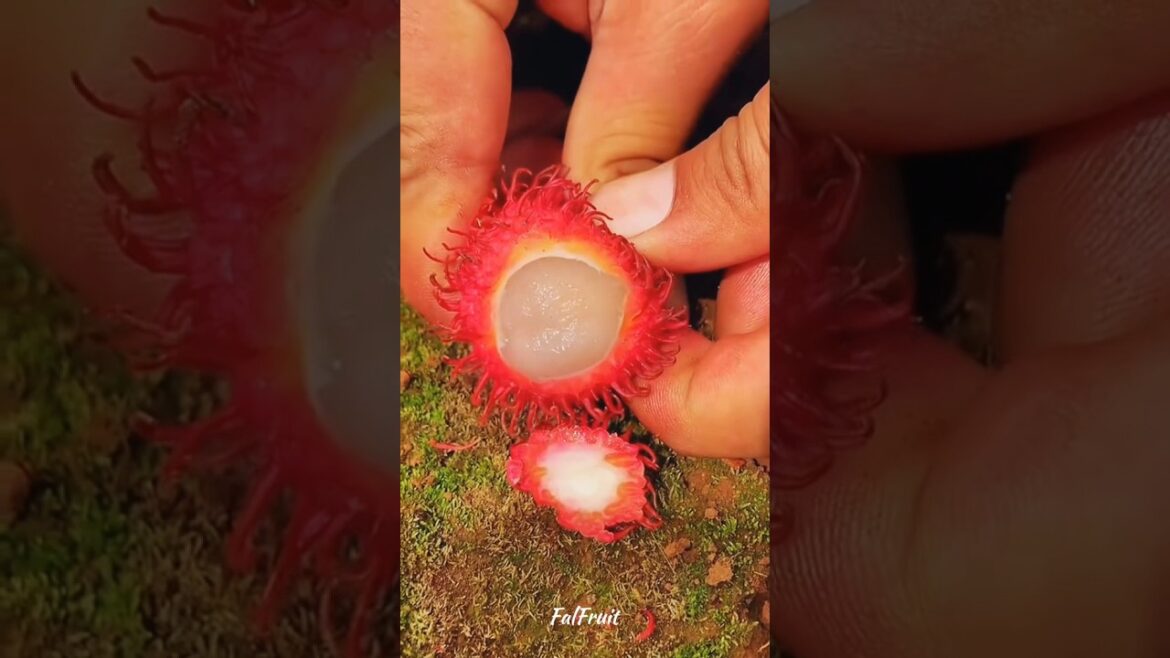 Fruit Focus, Spotlight on Seasonal Favorites #shorts Fruit Focus, Spotlight on Seasonal Favorites #shorts