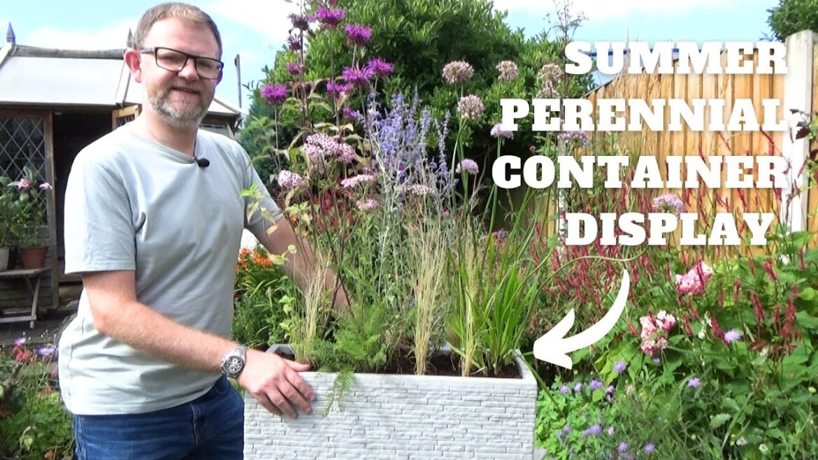 What to Plant in a Summer Container Display | Container Gardening Ideas | Perennial Planting in Pots
