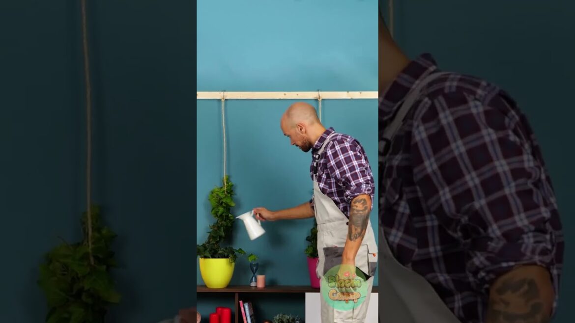 Transform Your Garden: Try These Easy Hacks for Vertical Growing!