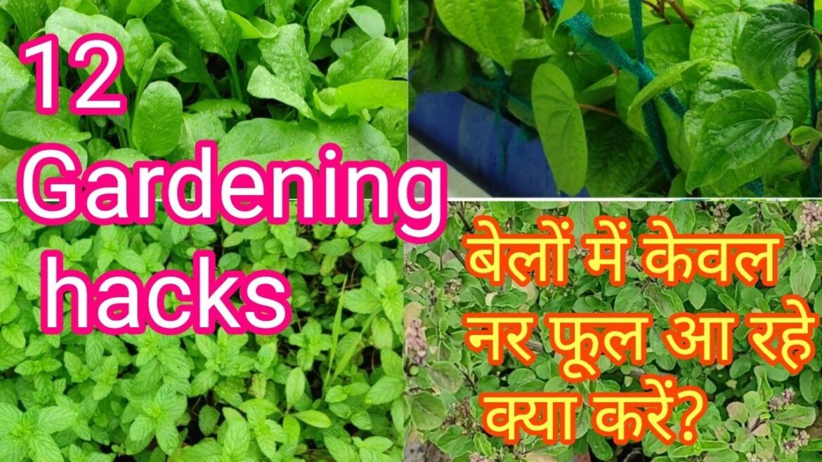 12 important Garden tips or garden hacks