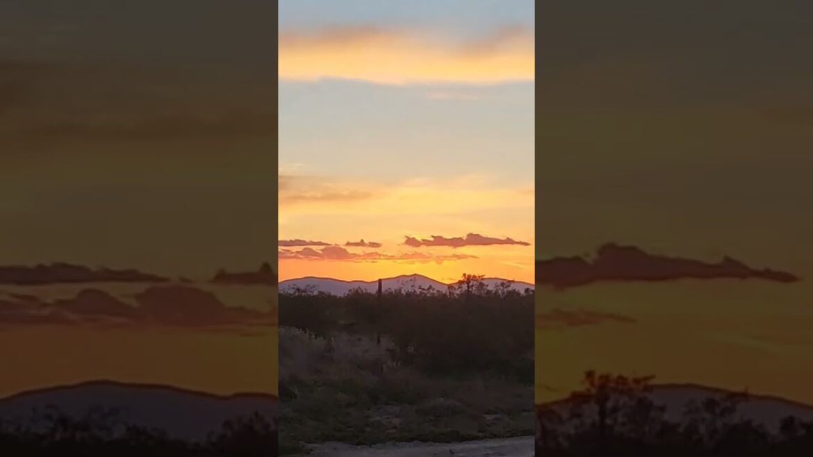 This is our front yard #sunset #highdesert #greeningthedesert