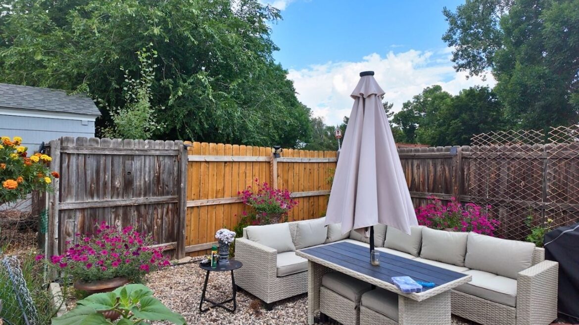 Container Garden Update July 2024 99% FROM SEED  / Tidal Wave Petunias, & My Thoughts on Dichondra