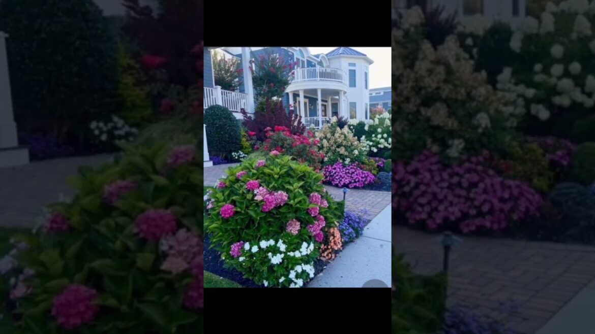Ideas for small garden design | Small yard landscaping ideas