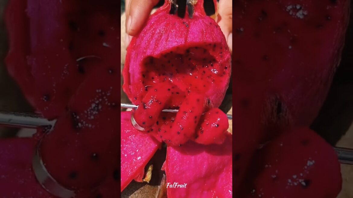 Western fruits farming  🍓🍒🥭 #shorts #farming