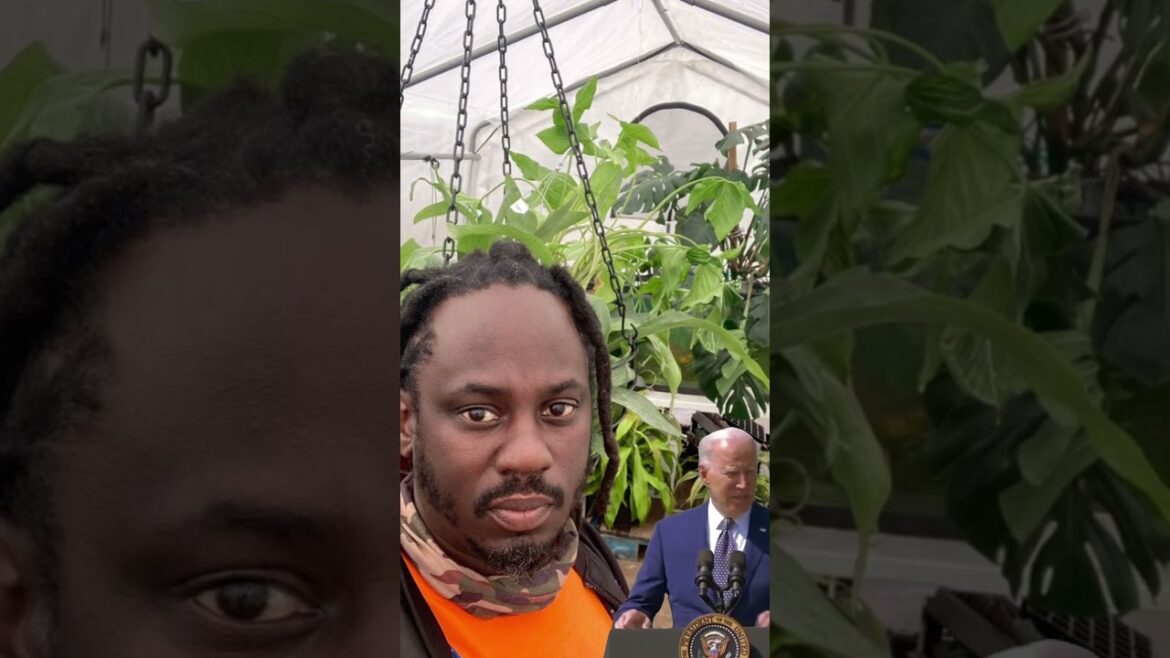 Meet COY, your personal garden guru!   Master gardener by day, nature enthusiast by night!