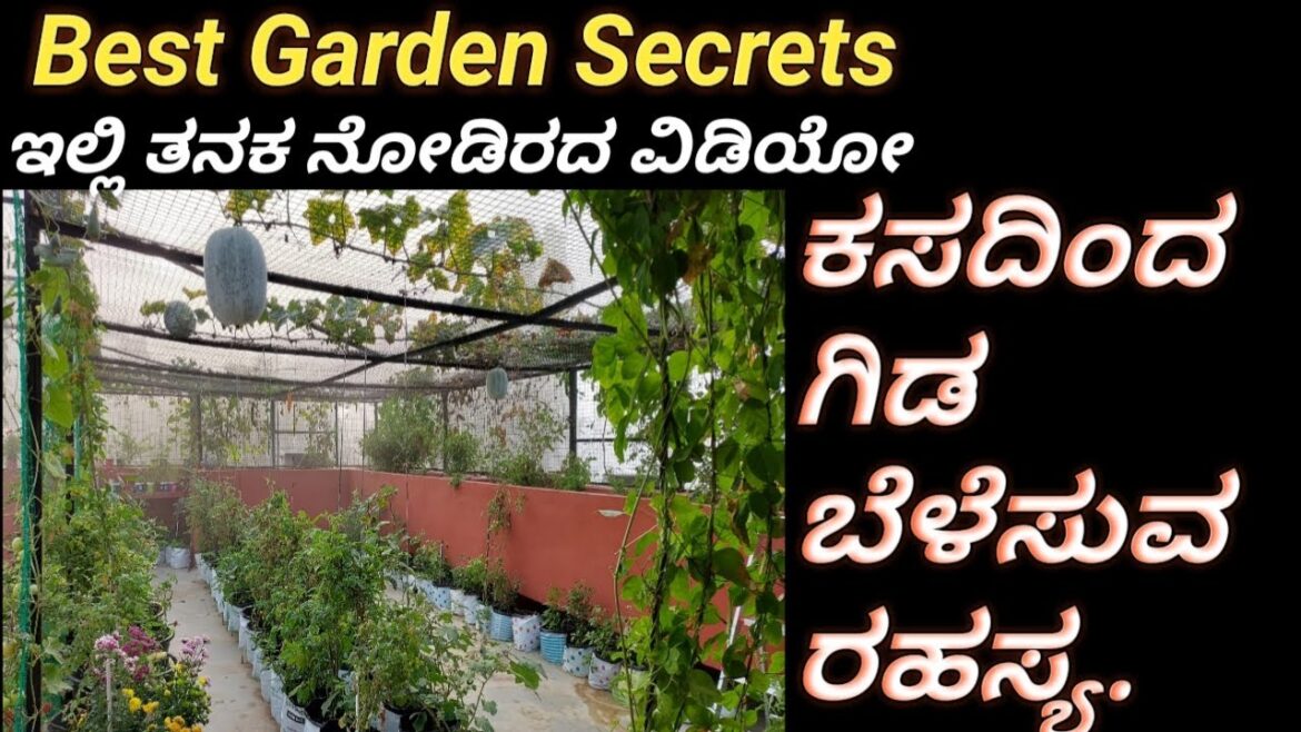 Best garden hack/ಕಸದಿಂದ ಗಿಡ ಬೆಳೆಸುವ ರಹಸ್ಯ#Gardensecrets #livemulching #gardentips #plants
