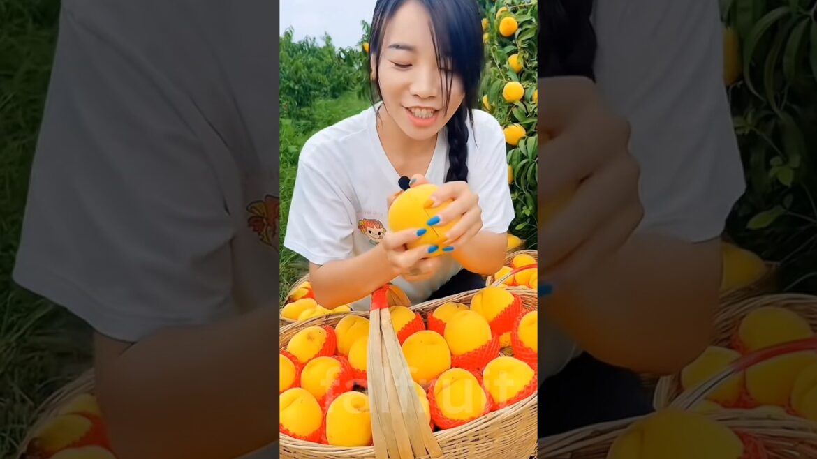 Colorful Fruits from Around the World 🌍🍇🍒🍓 | #shorts