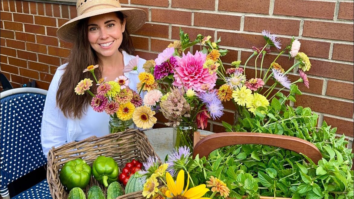 Container Garden Harvest! All Of This From My Rooftop Decks 🌸 🫑 🍅 Container Garden Harvest! All Of This From My Rooftop Decks 🌸 🫑 🍅