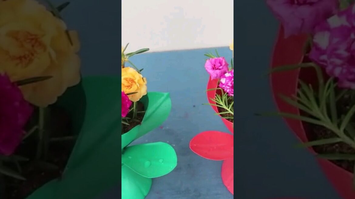 Beautiful Pot Ideas for Home Gardening #viralshort #gardeningtips