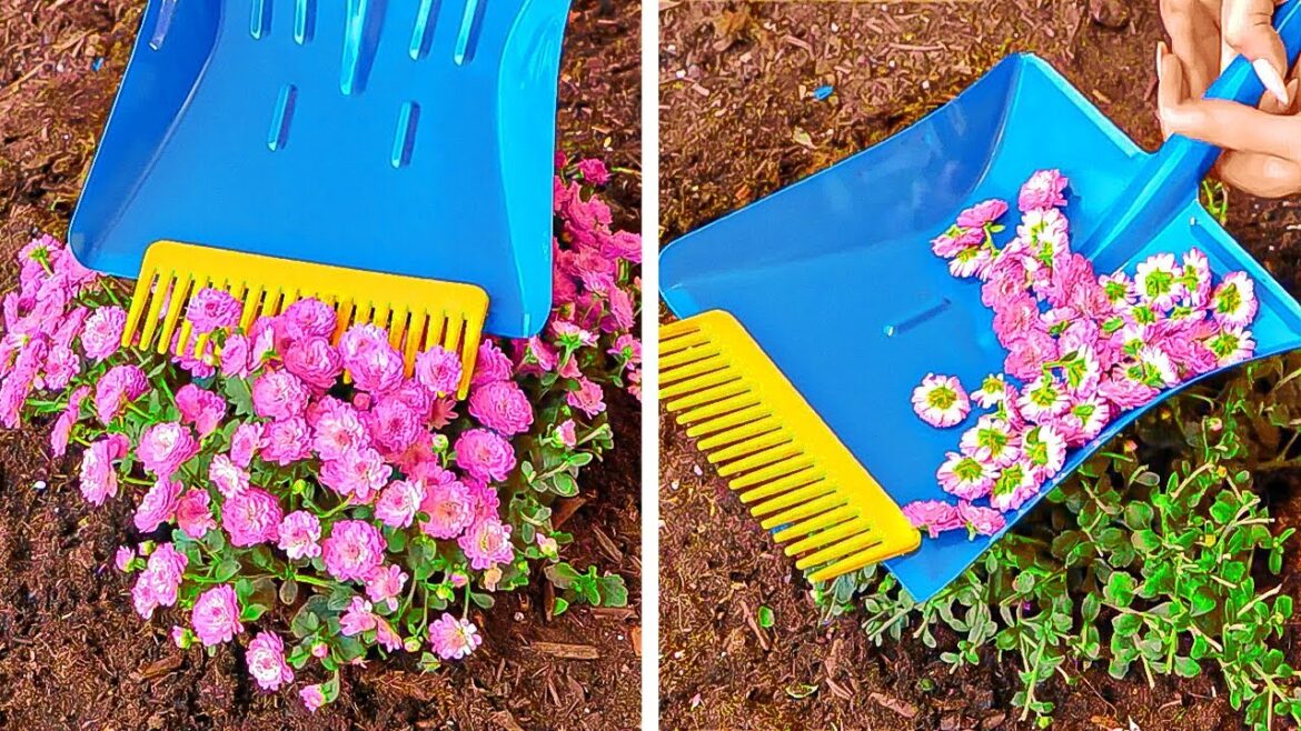 Surprising Gardening Hacks To Make Your Home Plants Grow Surprising Gardening Hacks To Make Your Home Plants Grow