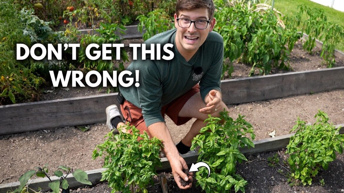 MIgardener: Why POTTING MIX Can RUIN Your Garden – Don’t Make This Mistake! Why POTTING MIX Can RUIN Your Garden - Don't Make This Mistake!