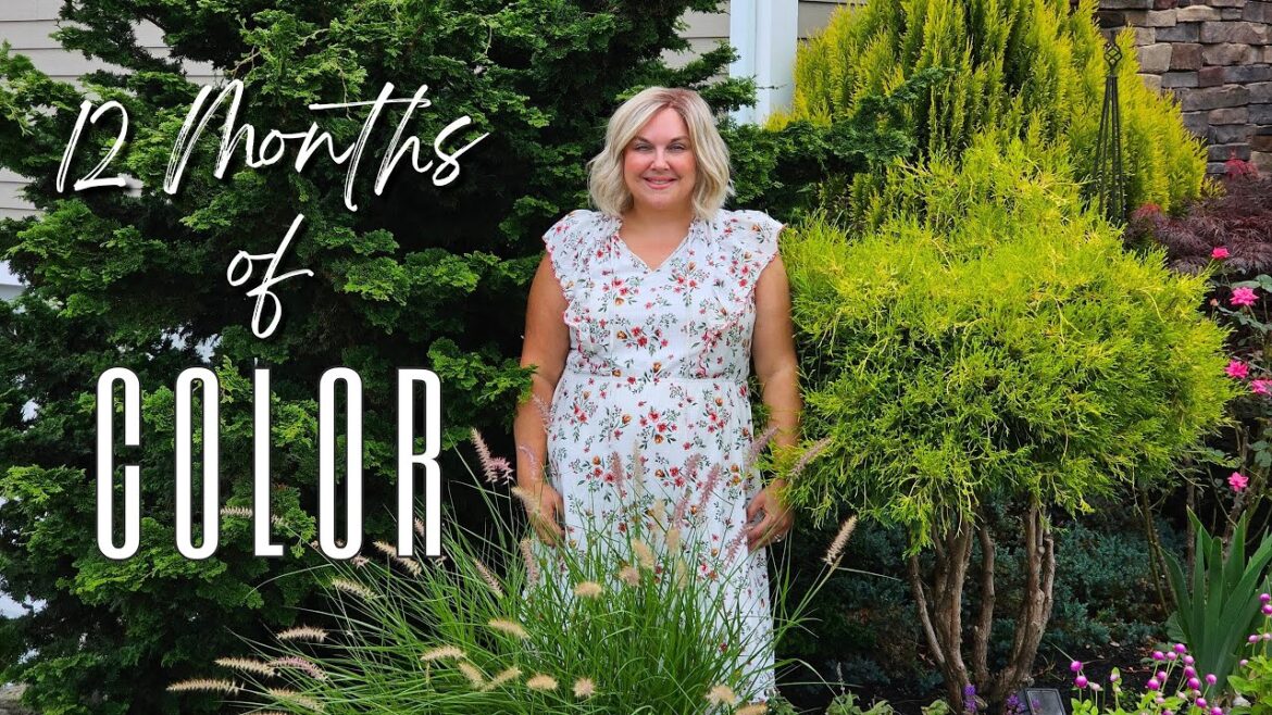 Low Maintenance and Easy Shrubs to Grow Around Your Home