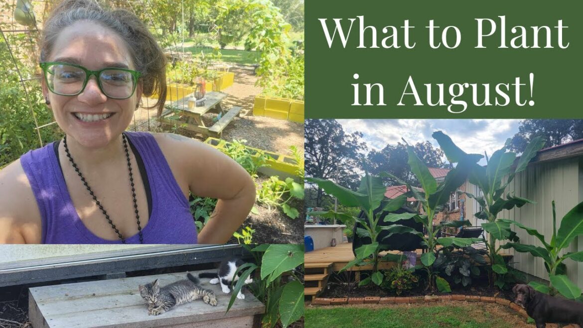 August Planting Secrets for Zone 7 Gardeners