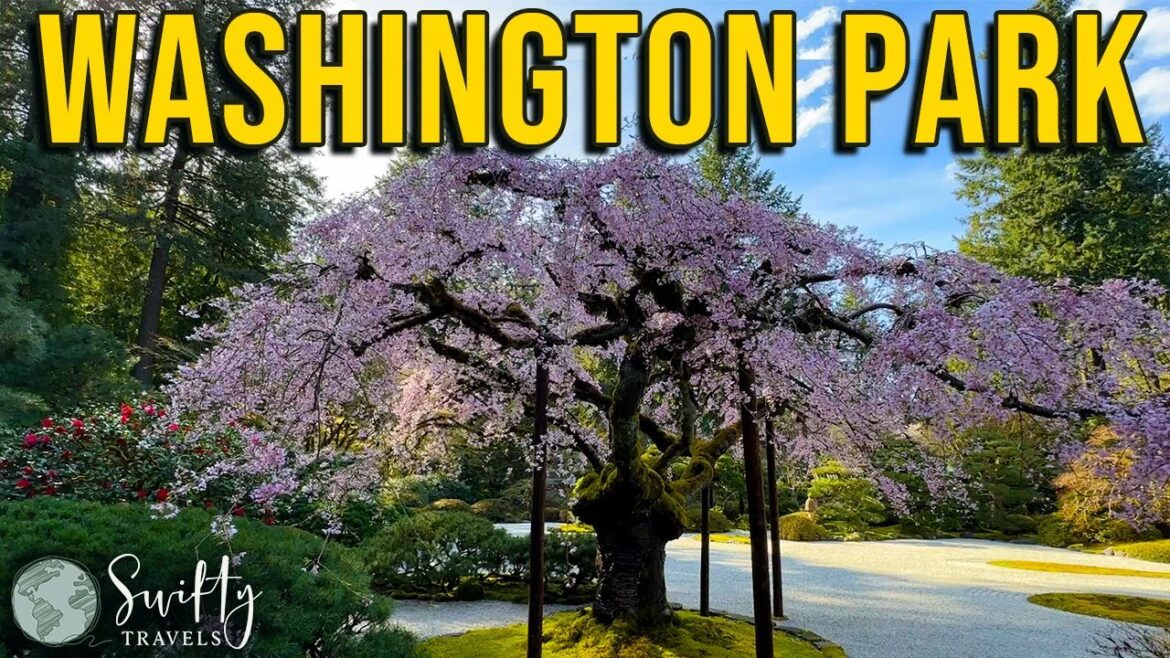 Portland Oregon Travel : Rose Garden & Japanese Garden  at Washington Park