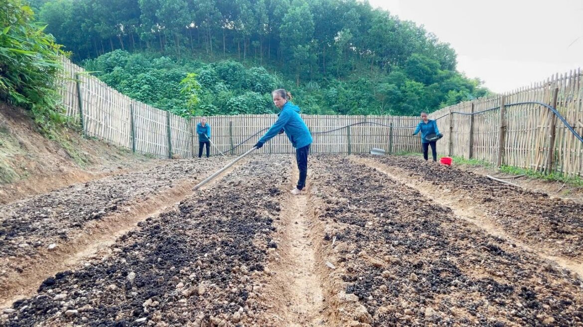 Grow Your Own Food: Ultimate Vegetable Gardening Guide (2024) Grow Your Own Food: Ultimate Vegetable Gardening Guide (2024)