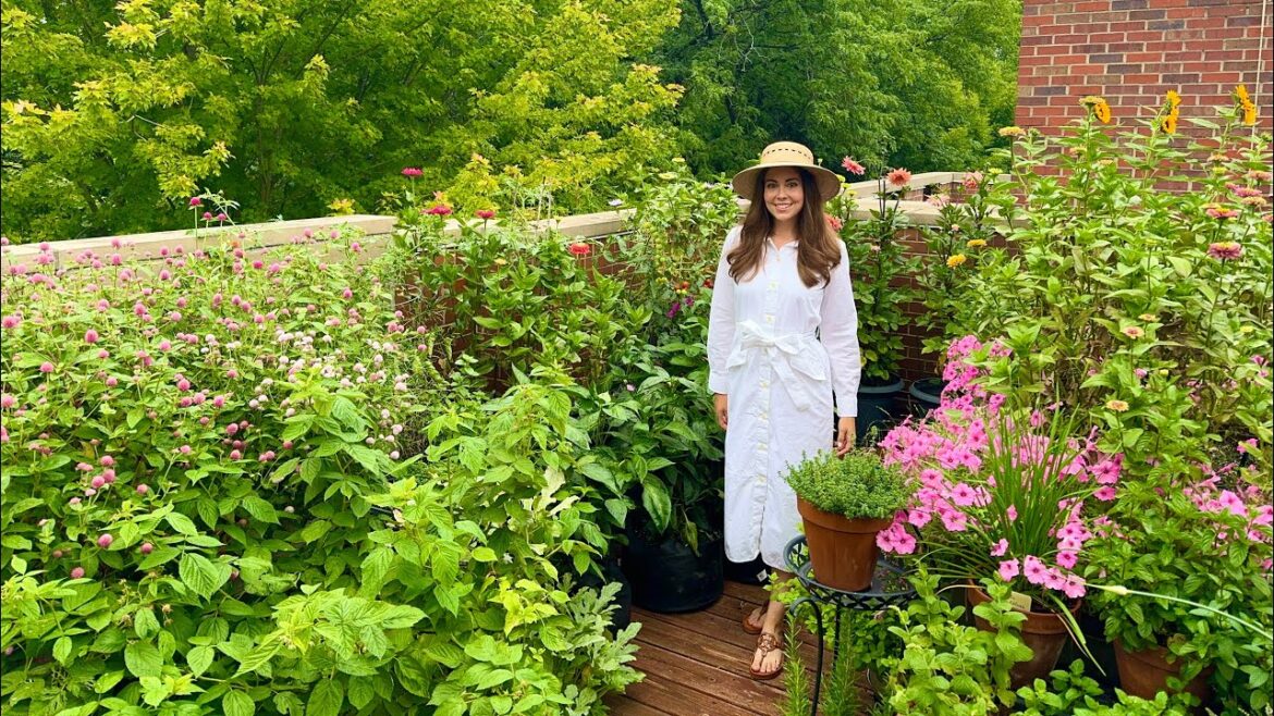 August Container Garden Tour! The Good, The Bad & The Powdery Mildewy 😩