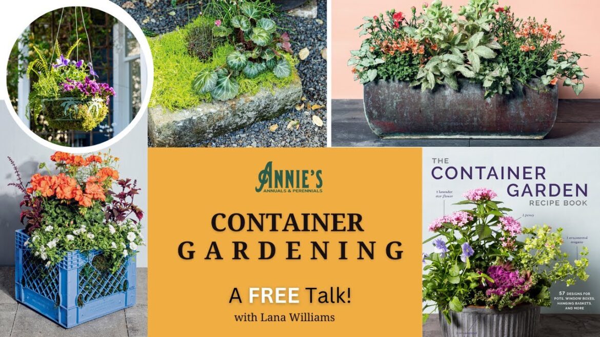 Container Gardening Container Gardening