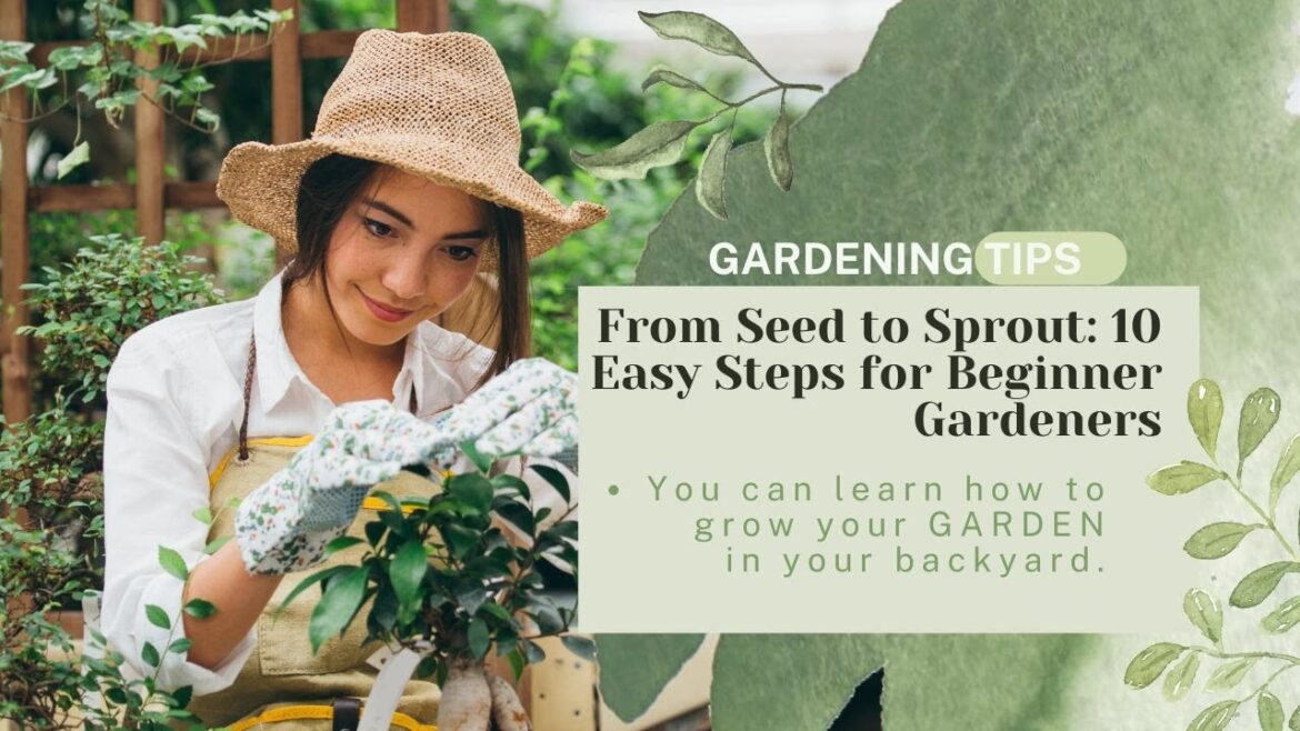 From Seed to Sprout: 10 Easy Steps for Beginner Gardener#FromSeedtoSprout #Green#GrowYour#GardenTips From Seed to Sprout: 10 Easy Steps for Beginner Gardener#FromSeedtoSprout #Green#GrowYour#GardenTips