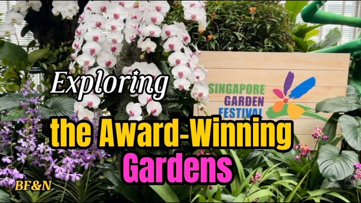 The Winners of Singapore Garden Festival 2024: A Masterpiece in Bloom The Winners of Singapore Garden Festival 2024: A Masterpiece in Bloom