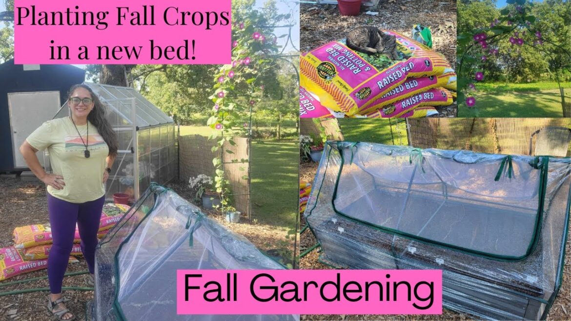 Adding an Amazon Raised Bed to my Garden & How to Maximize Planting Space