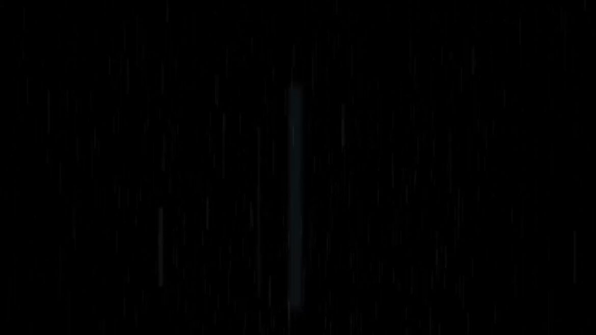 How Heavy Rainfall Can Impact Your Garden: Tips for Keeping Plants Healthy and Happy