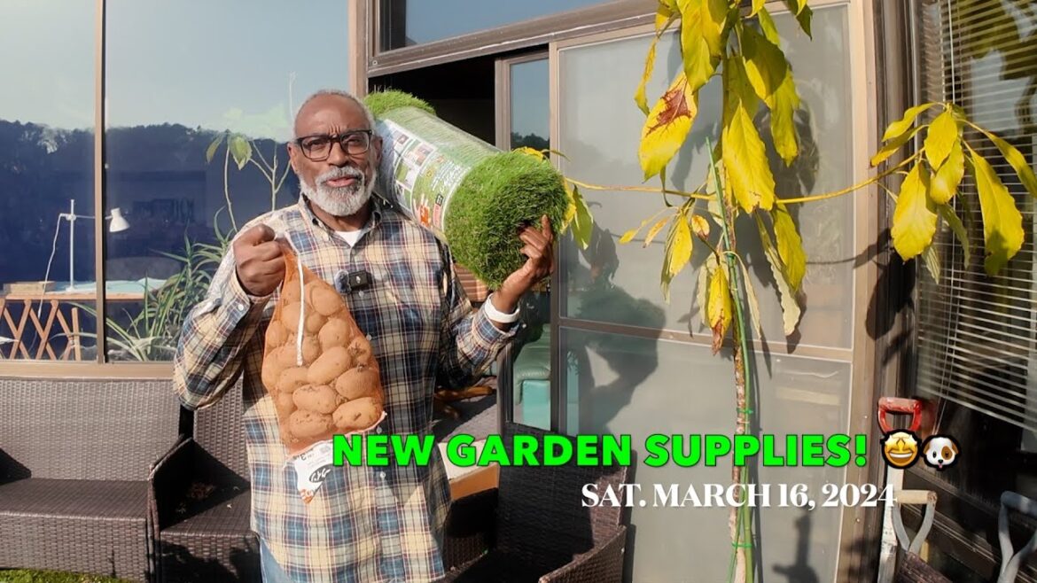Good Day from Kamakura, Japan! 🇯🇵 New Garden Supplies! 🤩🐶 Good Day from Kamakura, Japan! 🇯🇵 New Garden Supplies! 🤩🐶