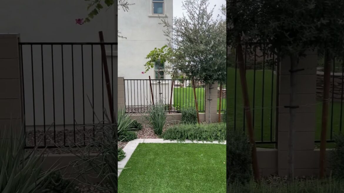 What do you think of this backyard?! $880,000 3 bed 3 bath Gilbert Az #homesbymikewalker What do you think of this backyard?! $880,000 3 bed 3 bath Gilbert Az #homesbymikewalker