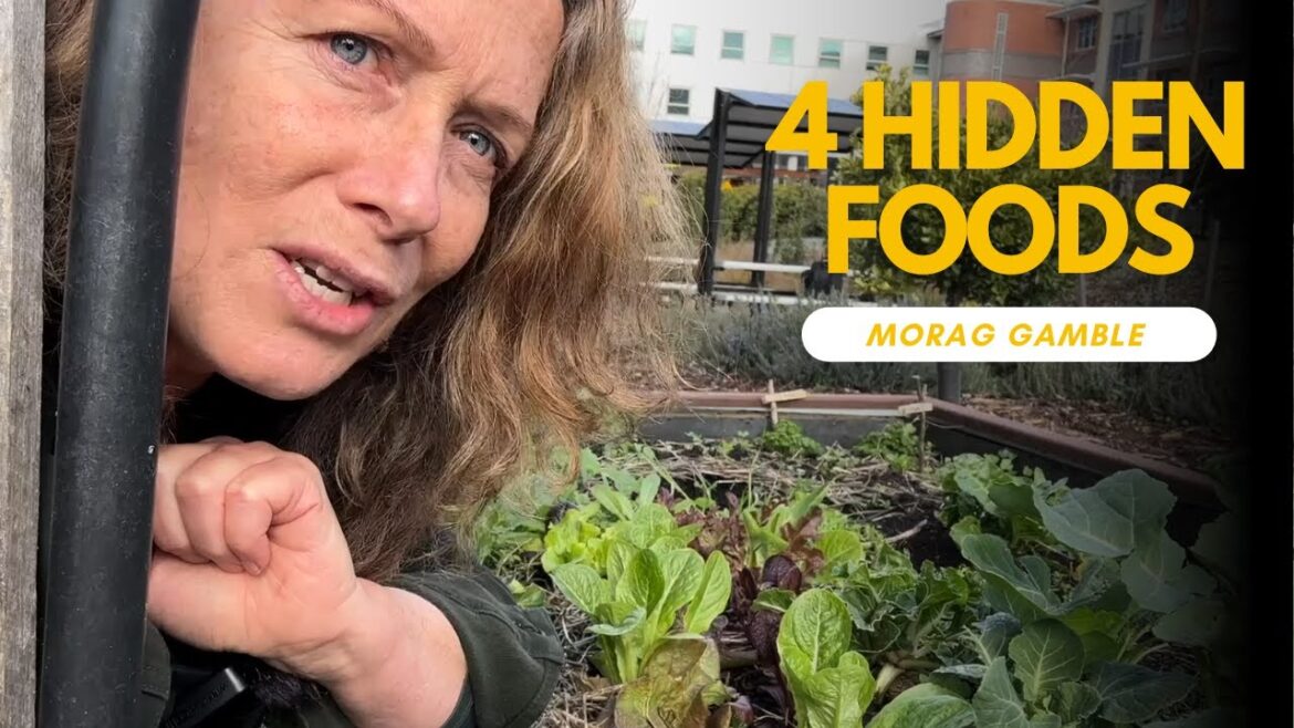 Discover 4 Hidden Edibles and Extend your Harvest Discover 4 Hidden Edibles and Extend your Harvest